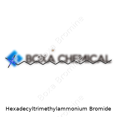 Hexadecyltrimethylammonium Bromide